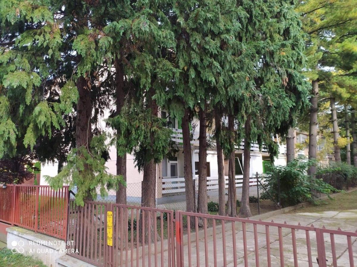 Erdei Apartment
