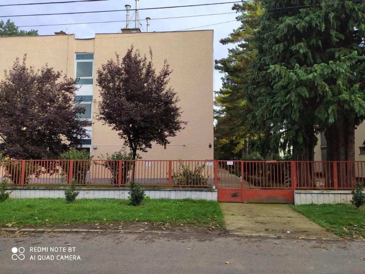 Erdei Apartment *